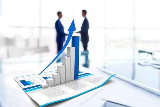 主要業(yè)績(jī)